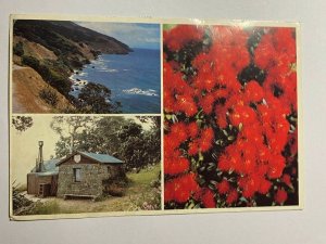 POSTED  PICTURE POSTCARD - NEW ZEALAND COROMANDEL PENINSULA  (KK2582) 