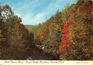 Little Pigeon River Great Smoky Mountains National Park, North Carolina NC
