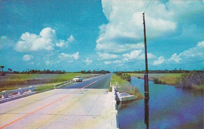 Florida Scene Along The Tamiami Trail