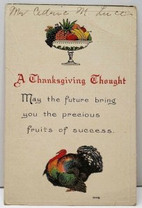 A Thanksgiving Thought Embossed Postcard F16
