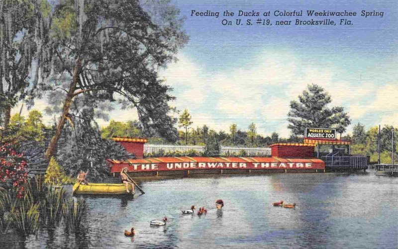 Feeding Ducks Underground Theater Weekiwachee Spring Florida 40s linen postcard