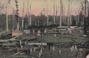 A Settler's Home Victoria Australia Old Postcard