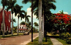 Florida Punta Gorda Residential Avenue Scene