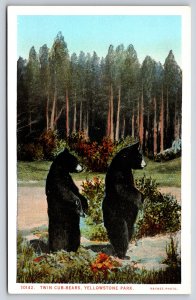 National & State Parks~Wyoming~Yellowstone~Twin Cub Black Bears~Haynes Vtg PC