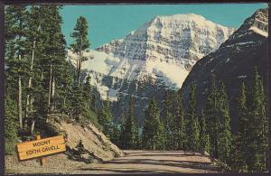 Mount Edith Cavell,Jasper,Alberta,Canada Postcard BIN