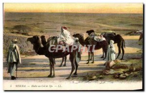 Postcard Old Algeria Biskra Stop Collar Sfa Camel Camel