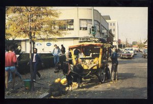 Providence, Rhode Island/RI Postcard, Street Vendors Near Brown University