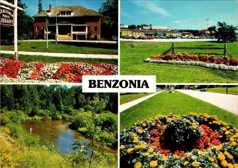 Benzonia, MI Michigan LIBRARY~CRYSTAL PLAZA SHOPPING MALL Benzie Co 4X6 Postcard