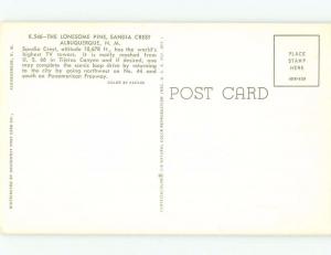 Unused Pre-1980 LONESOME PINE TREE Albuquerque New Mexico NM E6718