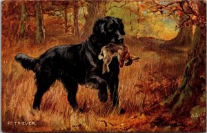 Retriever with Rabbit, Tucks 9105 Sporting Dogs Vintage Postcard X55