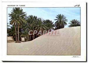 Modern Postcard Remembrance Tunisia