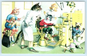 Mainzer DRESSED CATS ~ Anthropomorphic DENTIST OFFICE 4990 Belgium Postcard