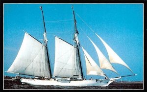 The Shenandoah in Vineyard Haven, Massachusetts built in 1964 at Bristol, Maine.