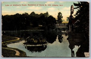 Lake Wolfoorts Roost David B. Hill Residence Bridge Albany New York NY Postcard