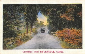 Greetings NAUGATUCK, CT New Haven County, Connecticut c1930s Vintage Postcard