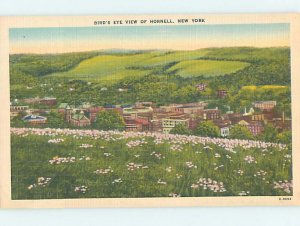 Linen PANORAMIC VIEW Hornell New York NY AF0666