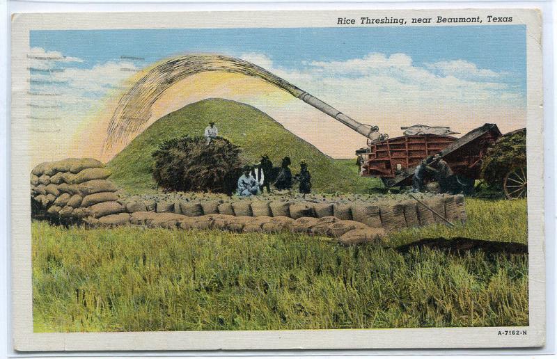 Rice Threshing Farming Scene Beaumont Texas 1941 postcard