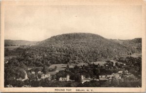 Postcard NY Delaware County Aerial View Delhi Round Top Hill Albertype 1930s K64