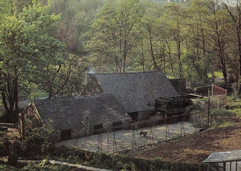 Shepherd Wheel Factory Yorkshire Industry Postcard