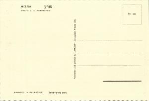 israel palestine, MIZRA מִזְרָע, Kibbutz, Panorama (1930s) Tmunia Postcard 222