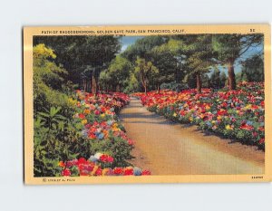 Postcard Path Of Rhododendrons Golden Gate Park San Francisco California USA