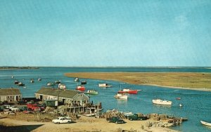 Vintage Postcard Aunt Lydia's Cove Chathams Fishing Fleet Cape Cod Massachusetts