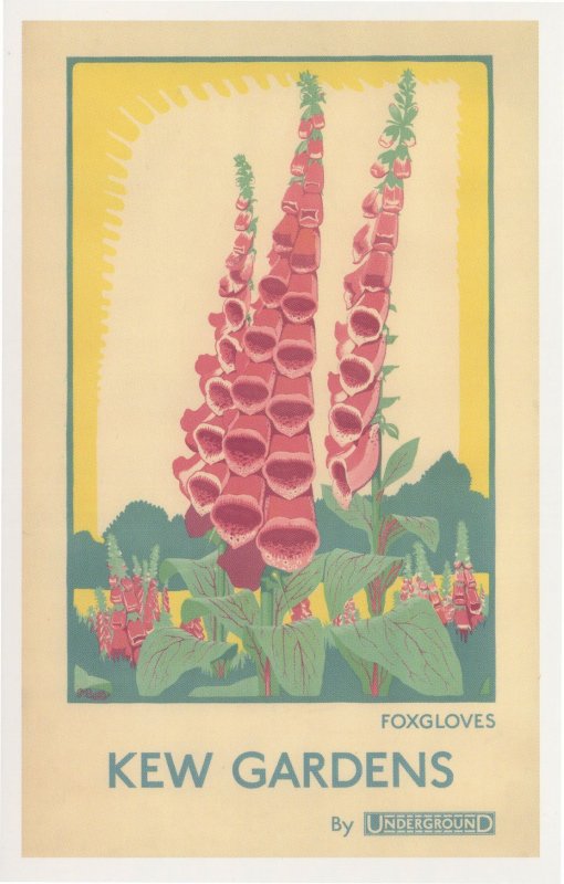 Visit Kew Gardens by Train Foxgloves London Underground Postcard
