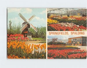 Postcard Springfields, Spalding, England