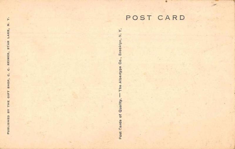 Star Lake New York Gift Shop Exterior Vintage Postcard JE228317