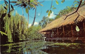 Honolulu Hawaii 1965 Postcard The Willows Restaurant Fine Dining