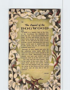 Postcard The Legend of the Dogwood