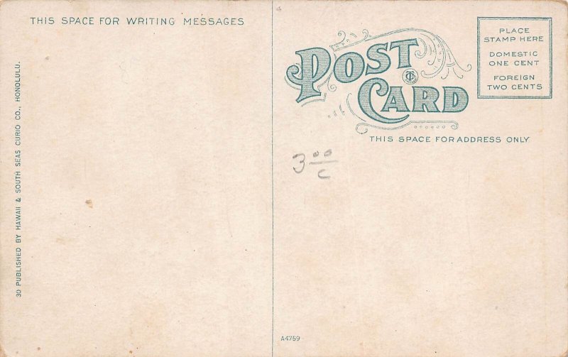 J76/ Hawaii Postcard c1910 Honolulu Native Feast Luau Dinner 285