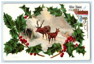 c1910's Christmas Reindeer Snow Winter Holly Berries Posted Antique Postcard