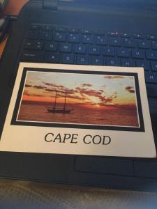 Vtg Postcard: Cape Cod