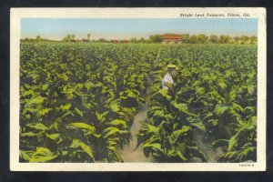 TIFTON GEORGIA BRIGHT LEAF TOBACCO FARMING FA. VINTAGE POSTCARD