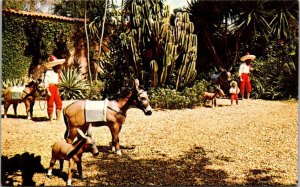 Florida Cypress Gardens Mexico Scene