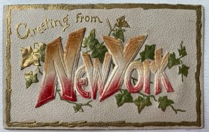 Vintage Victorian Postcard 1901-1910 Greeting from New York - Flocked Velvet