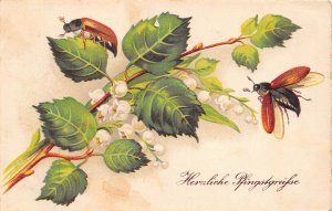 Pentecost Greetings 1933 Leaf Maybugs Lily of the Valley vintage postcard C316