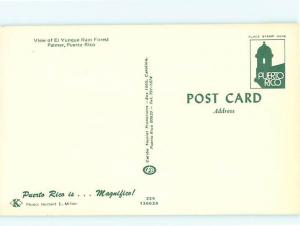 Vintage Post El Yunque Rain Forest Palmer Puerto Rico  # 3760