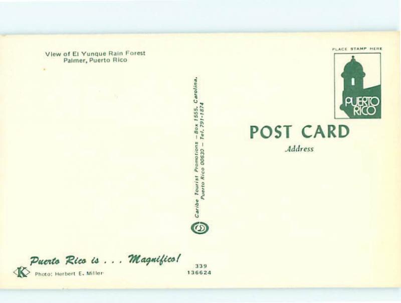 Vintage Post El Yunque Rain Forest Palmer Puerto Rico  # 3760