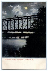 c1905 Moonlight On The Kankakee Truss Bridge Lake Kankakee Illinois IL Postcard