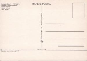 Costa do Estoril Carcais Portugal Multiview Unused Postcard D54