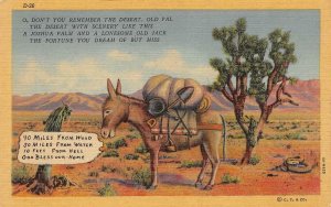 Comic  MILES FROM FOOD & WATER~God Bless Our Home  DONKEY In DESERT  Postcard