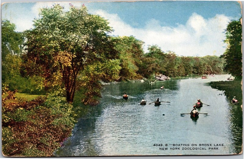 Postcard NY New York Zoological Park Boating on Bronx Lake