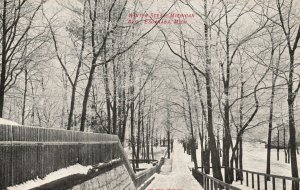 Vintage Postcard Winter Scene Michigan Avenue Trees Snow Escanaba Michigan MI