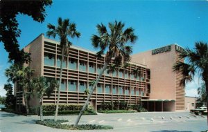 Postcard Maule Industries Miami Florida