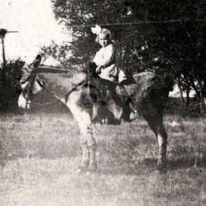 c1910s Cute Little Girl Riding Donkey RPPC Horse Pony Real Photo PC Child A184