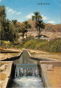 BG20905 jericho la fontaine d elisha  vue vers le mont de tentation israel