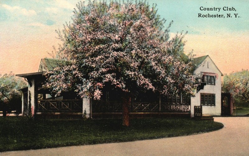 Vintage Postcard 1910's Country Club Rochester New York Structure Attraction NY