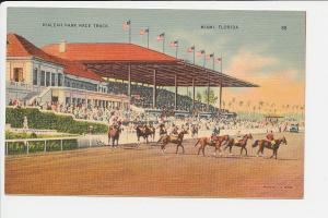 FL LN Miami Hialeah Park Race Track Linen Mint